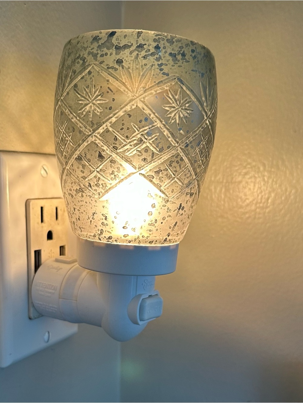 Scentsy Decorative Aqua Frosted Plug In.